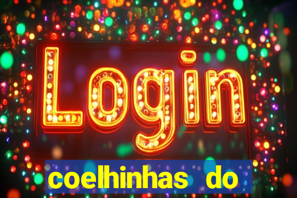 coelhinhas do brasil recife